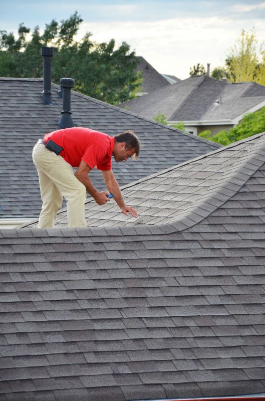 Roof Inspection and Diagnosis